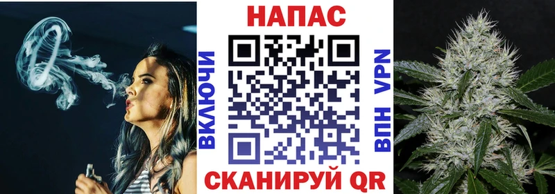 Купить где  Грозный  МАРИХУАНА SATIVA & INDICA 